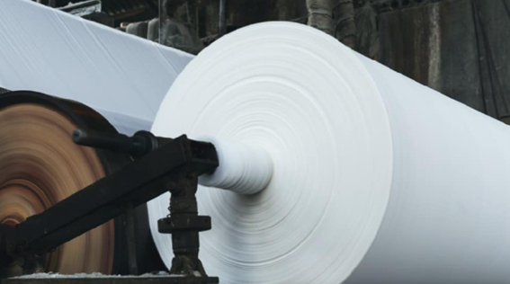 paper industry