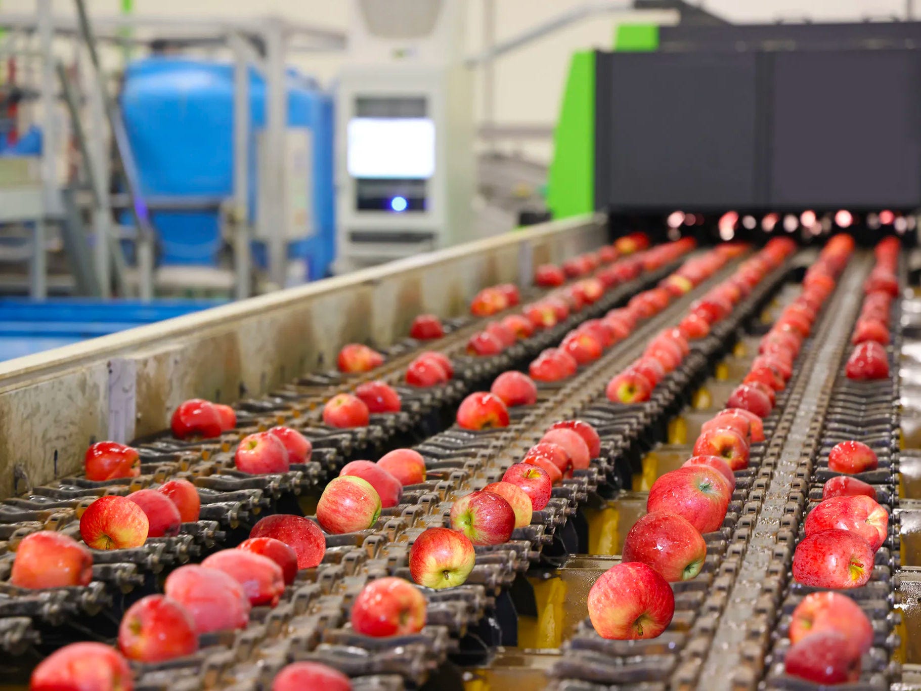 Apples on conveyor belt Apples on conveyor belt