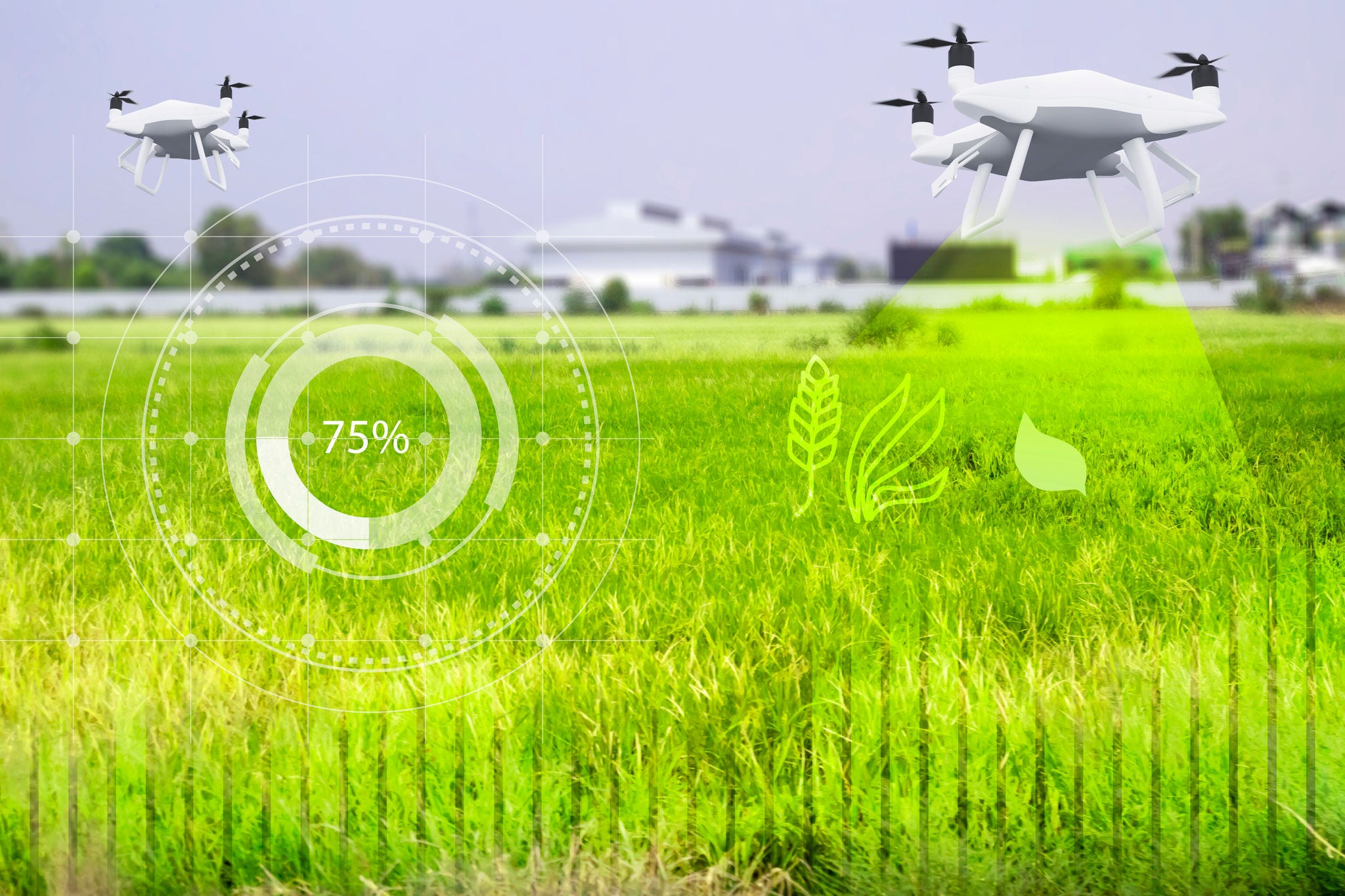 Agriculture and the food industry in food production and the use of technology to monitor and manage