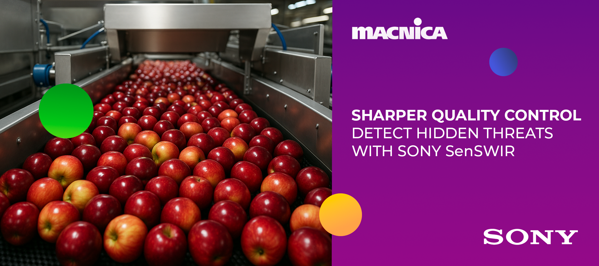 Industrial fruit inspection line with red apples on a conveyor belt, illustrating food quality control enhanced by Sony SenSWIR technology. 