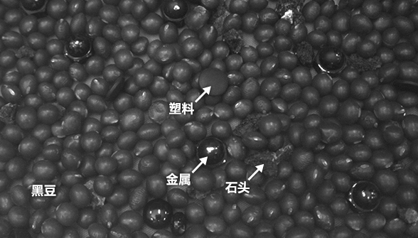 swir-future-of-ai-vision