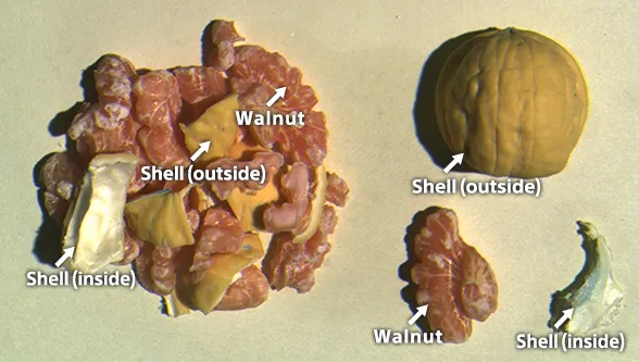 Walnut shells with SWIR