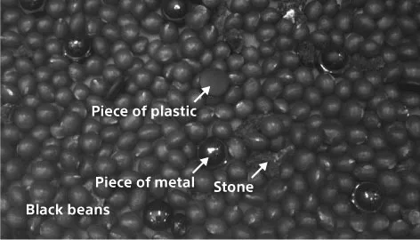 Detecting contaminants in food Under visible light