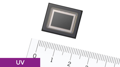 Sony UV image sensor with ruler